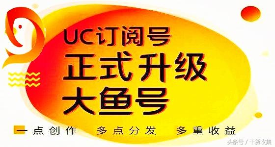头条号如何改成小视频号：一站式操作指南