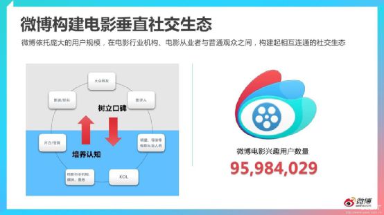 如何开启视频号显示——解锁微信生态新玩法
