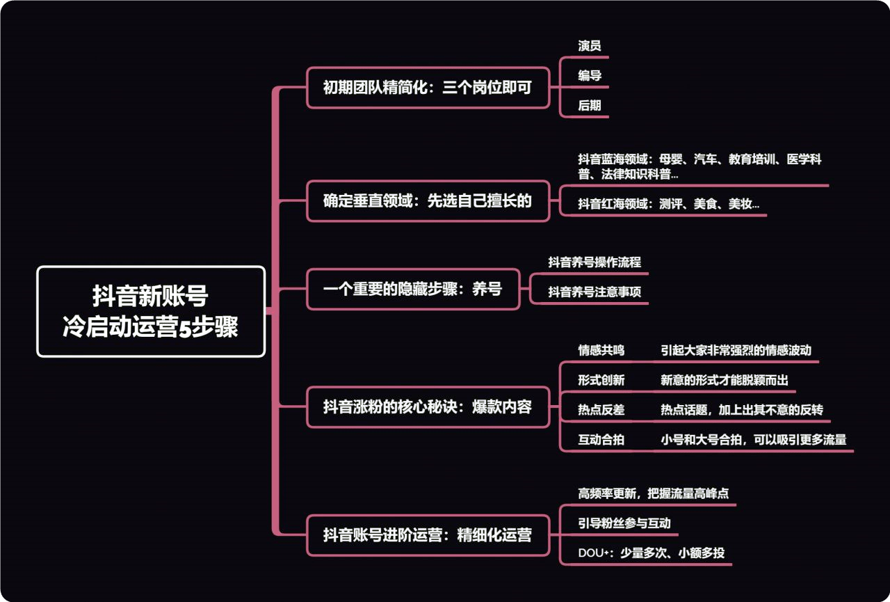视频号内容如何运作，玩转视频号的秘诀大揭秘
