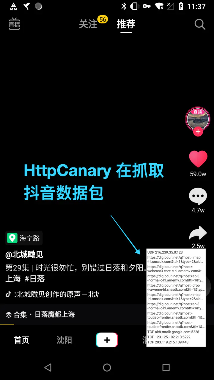 抖音点赞怎么看？揭秘点赞背后的秘密与优化技巧