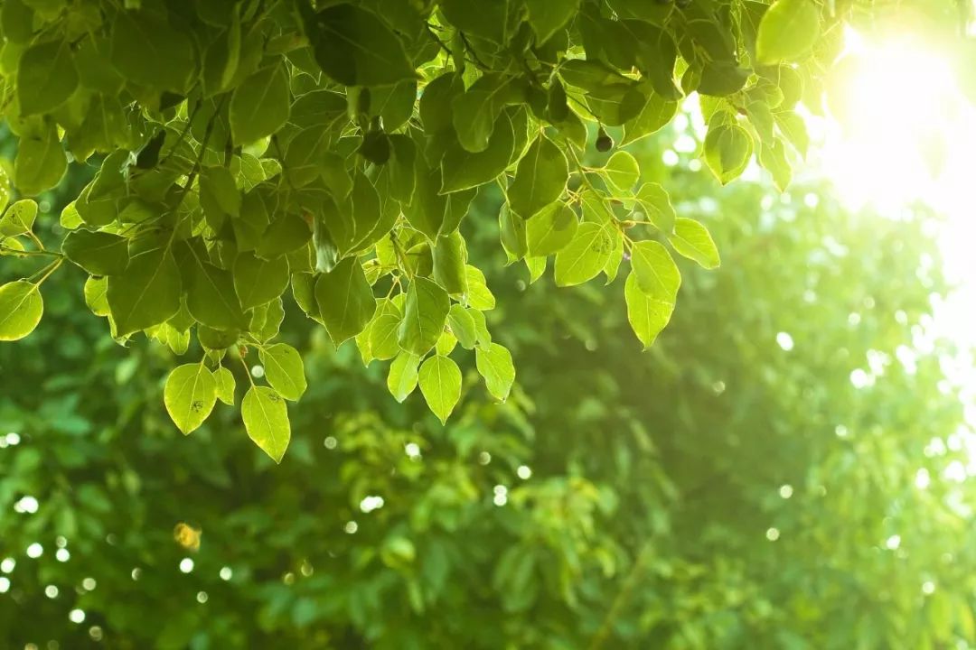 用阅读抚慰酷夏——“苦夏阅读答案”陪你度过漫长夏日