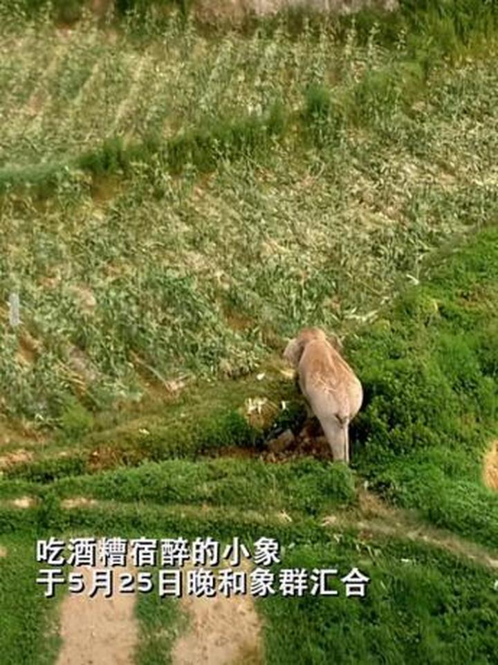 公众号阅读数异常，背后的原因和解决之道