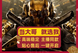 三角洲行动辅助如何下载？