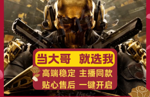 三角洲行动辅助如何下载？